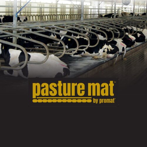 Pasture mat